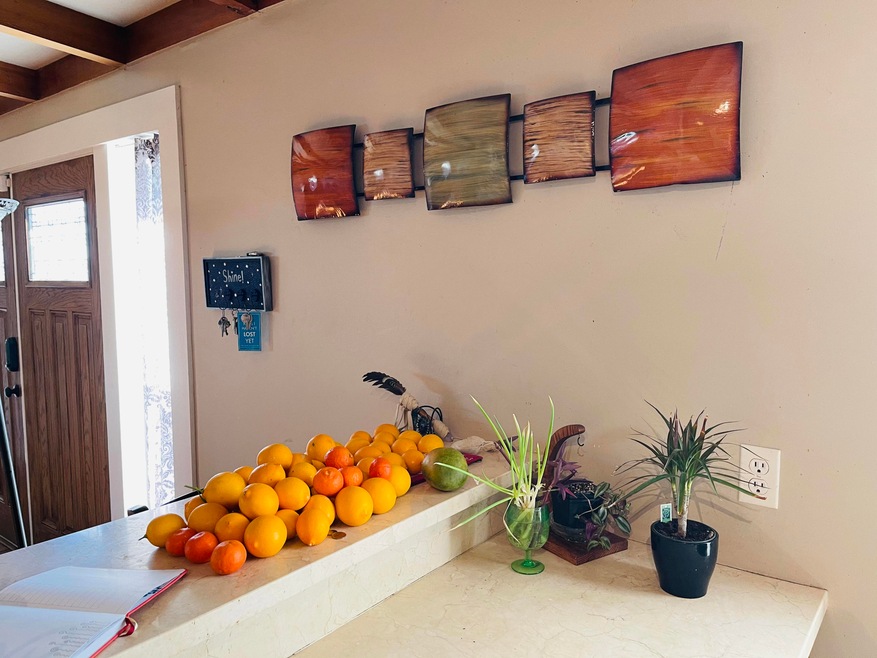 Kitchen open to Living room