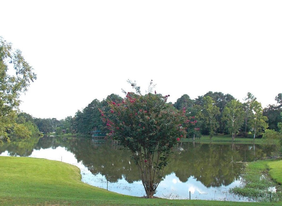 Lots 4-5 Cedar Ridge Rd, McComb, MS 39648 - photo 1