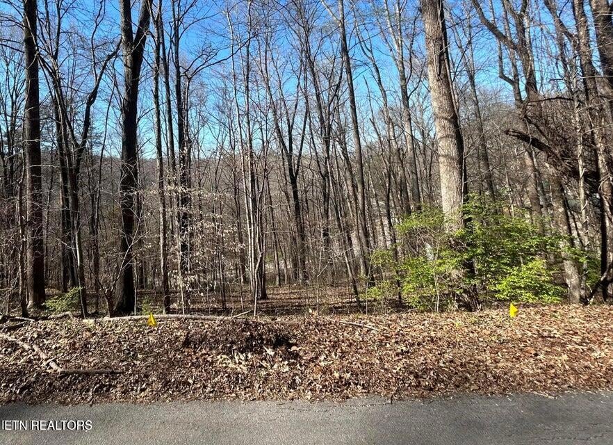 20240409182537646345000000-o