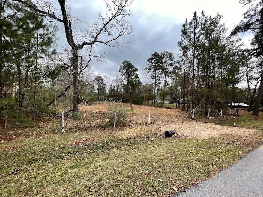 26410 Big Oak Ln, Magnolia, TX 77354 - photo 1