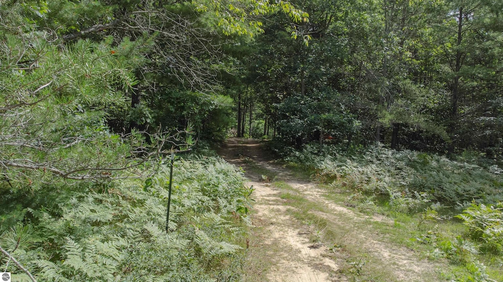 Parcel F Vans Ln, Fife Lake, MI 49633 - photo 1