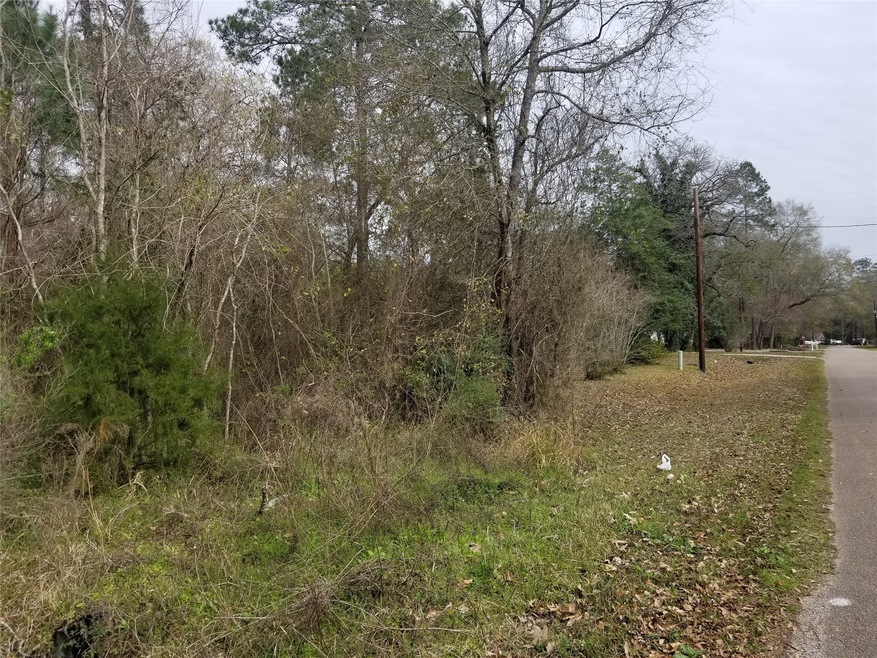00 Briarcliff St, Conroe, TX 77385 - photo 1