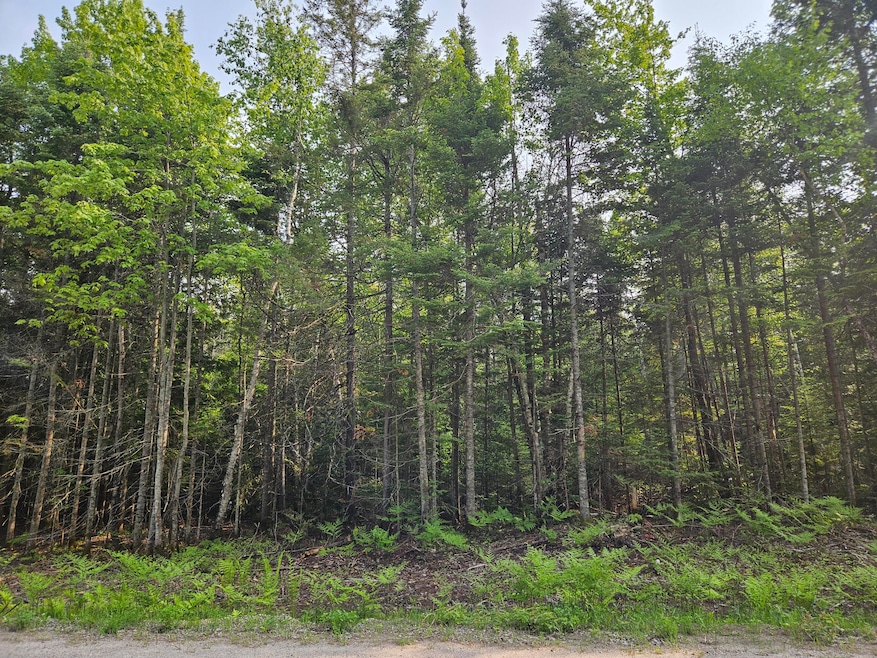 0 W Cedar Dr unit 24-1105, Sault Ste Marie, MI 49783 - photo 1