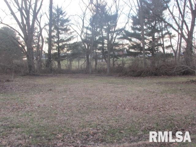 125 S Shaw St, Harrisburg, IL 62946 - photo 1