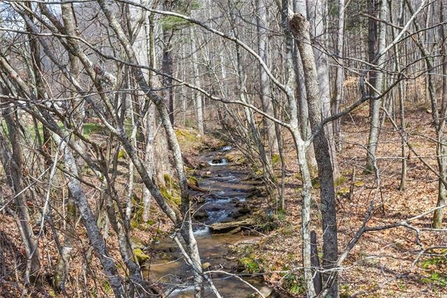 Beautiful Flowing Creek at the Base of the Propert