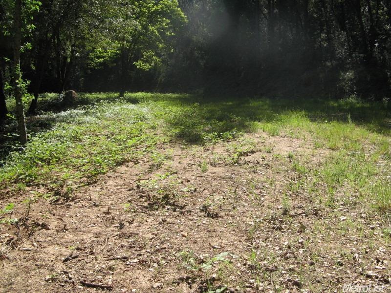 3141 Greenbrook Dr, Camino, CA 95709 - photo 1