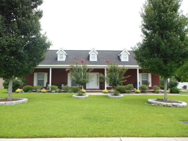 Main View