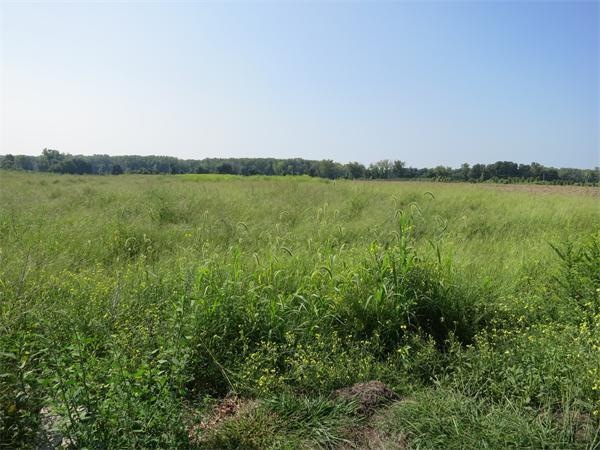 44 Honey Pot Rd, Hadley, MA 01035 - photo 1