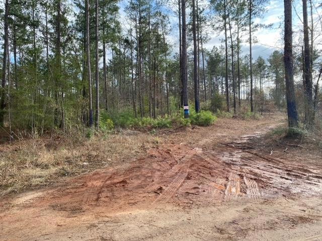 1915 Cr 620, Nacogdoches, TX 75964 - photo 1