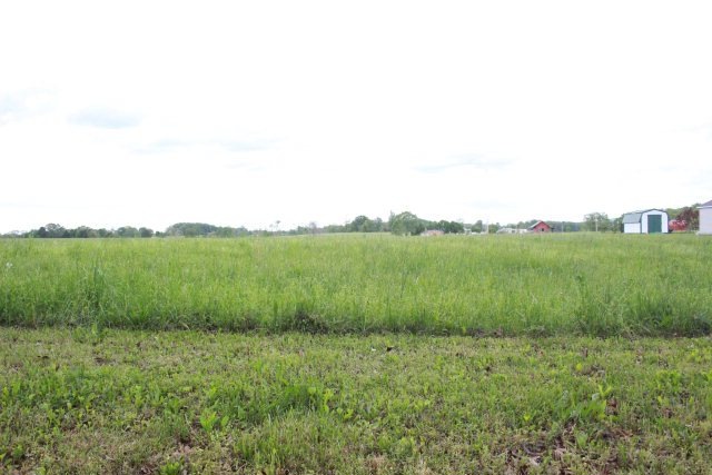 LOT 1 Betterton Rd, Walling, TN 38587 - photo 1