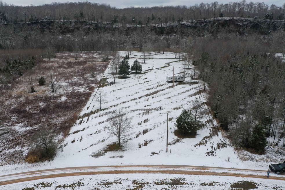 744 Buffalo Bottom Rd, Linden, TN 37096 - photo 1