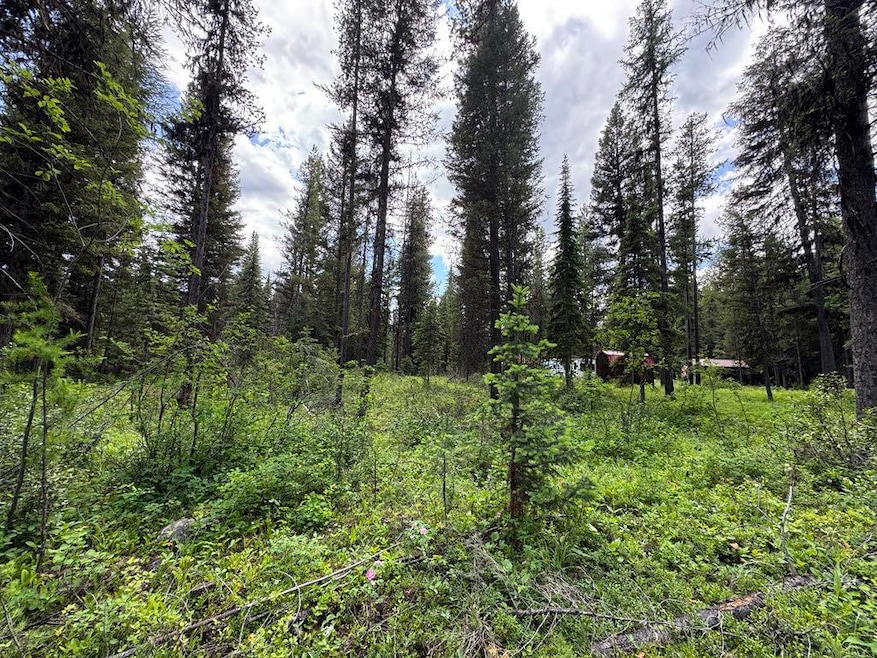 768 Deep Woods Trail, Polebridge, MT 59928 - photo 1