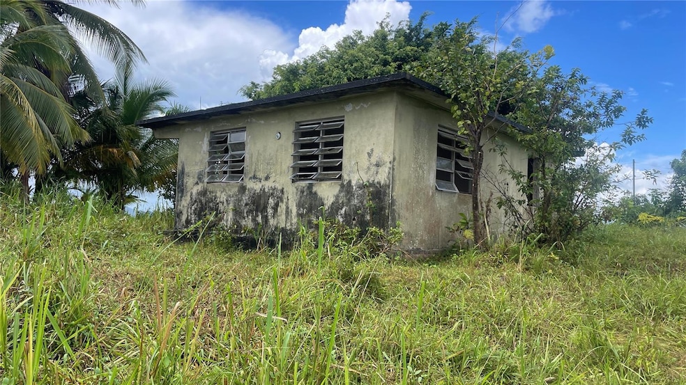 908 st Barrio Tejas, Yabucoa, PR 00767 - photo 1