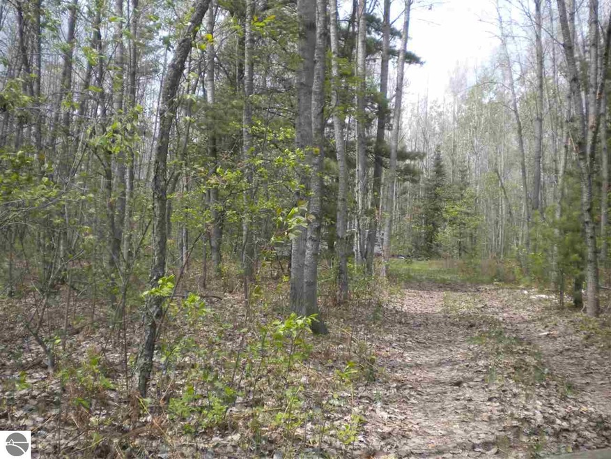 0 W Best Rd unit 18,19, Alger, MI 48610 - photo 1