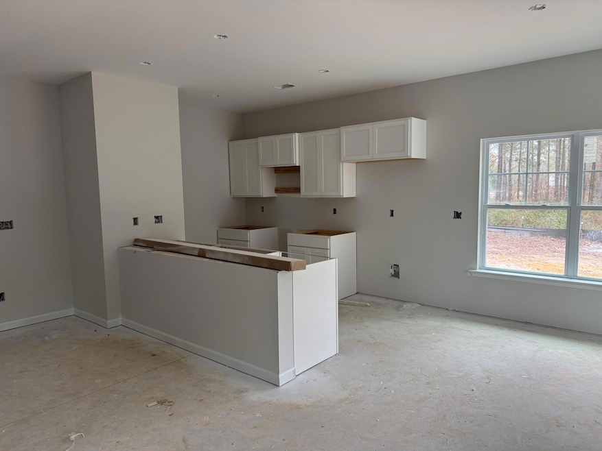 161 Raglins Way, Lugoff, SC 28078 - photo 1