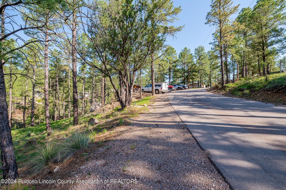 321 Hemlock Cir 14