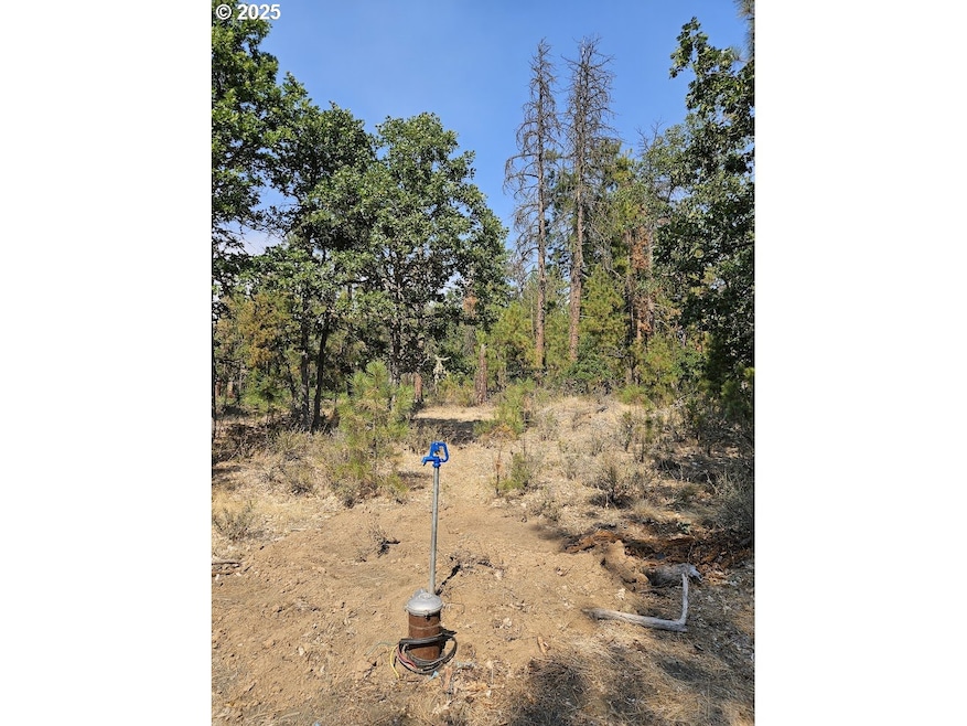 0 Hawks Wind Rd unit 1 162521196, Goldendale, WA 98620 - photo 1