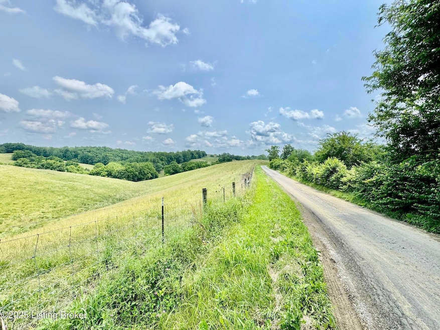 3650 Baker Ridge Rd, Willisburg, KY 40078 - photo 1