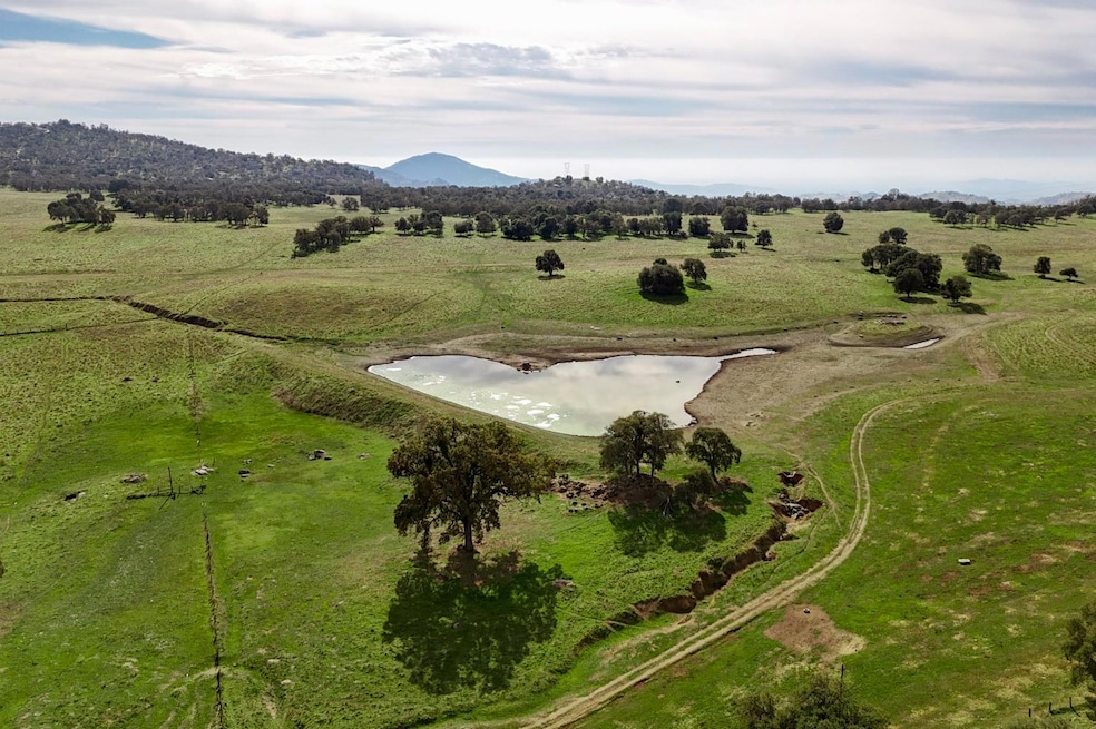 For Sale $2,500,000 • Co-Listing Agent