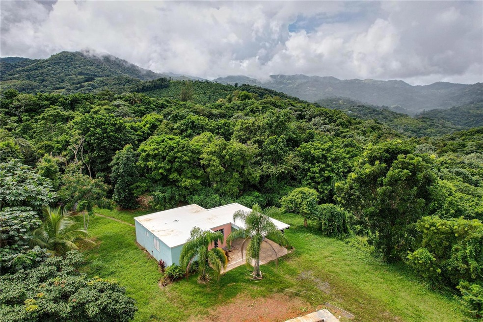 Road KM 17.7 Bo Mameyes 141, Utuado, PR 00641 | MLS# MFRPR9102833