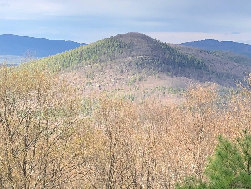 0 Hunt Lake Rd N unit 202116753, Hadley, NY 12835 - photo 1