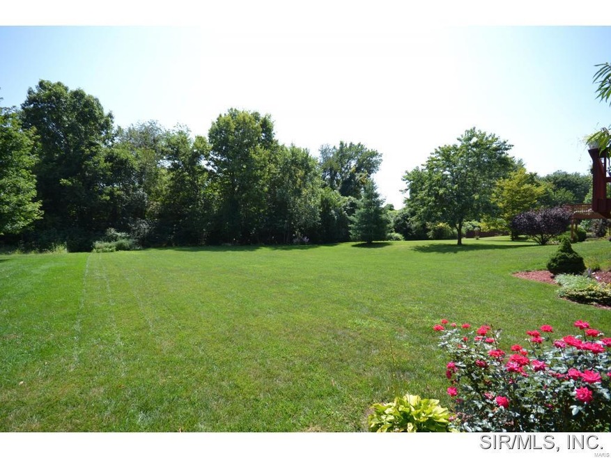 20 Annebriar Dr, Maryville, IL 62062 - photo 1