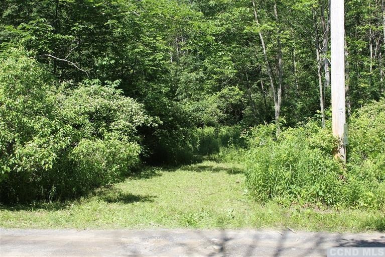0 Roche Ln, Ancram, NY 12503 - photo 1