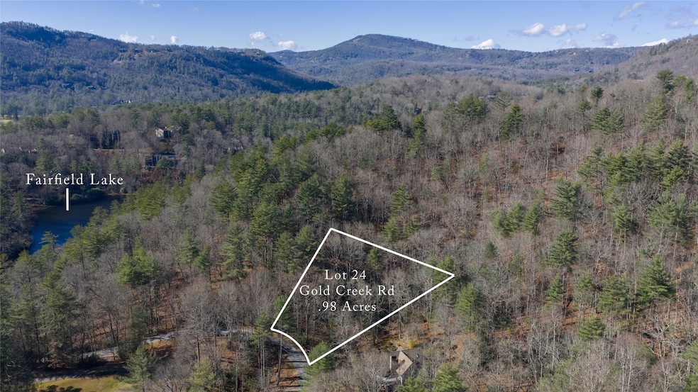24 Gold Creek Rd, Sapphire, NC 28774 - photo 1
