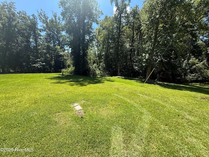 201 Kelly Ln, Blounts Creek, NC 27814 - photo 1