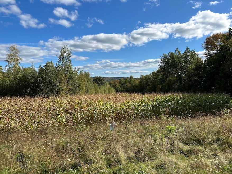 M5L28-5 Moosehead Trail Hwy, Brooks, ME 04921 - photo 1