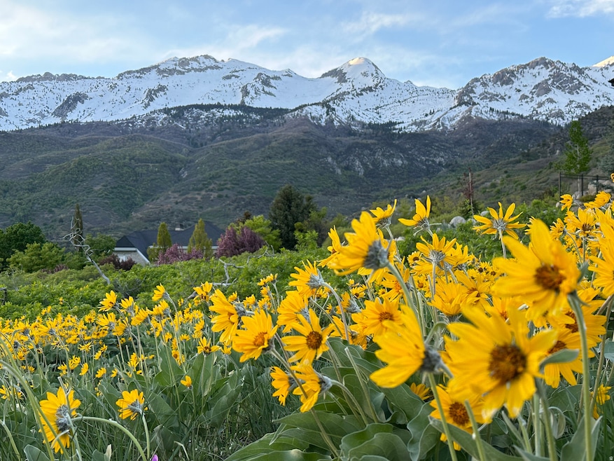 1653 N Rosanna Cir E, Alpine, UT 84004 - photo 1