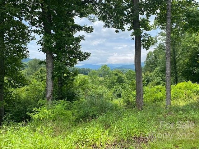 000 Taylor Ln unit 4,5,7,8,9,10,11,12,1, Burnsville, NC 28714 - photo 1