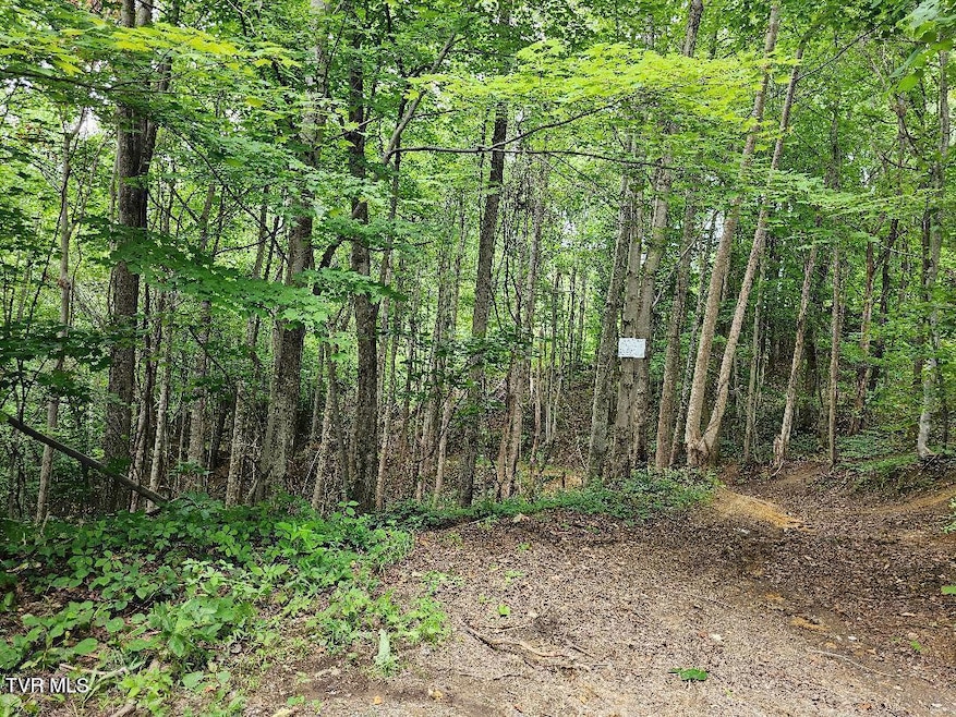 Tbd Rachels Chapel Rd, Coeburn, VA 24230 - photo 1