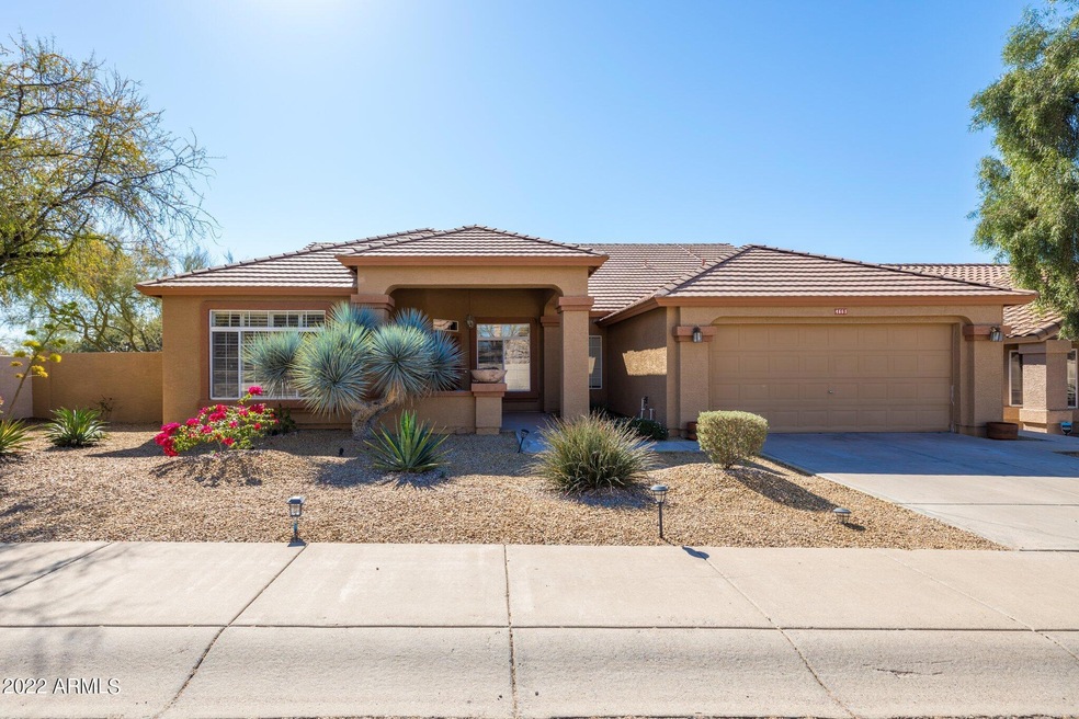 3-web-or-mls-7D3A1475