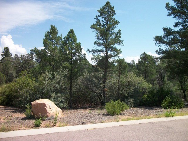 Primary Photo