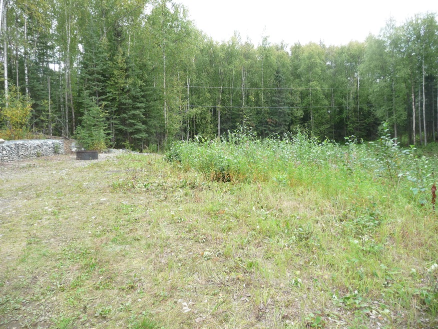 14248 W Holly Loop, Big Lake, AK 99652 - photo 1