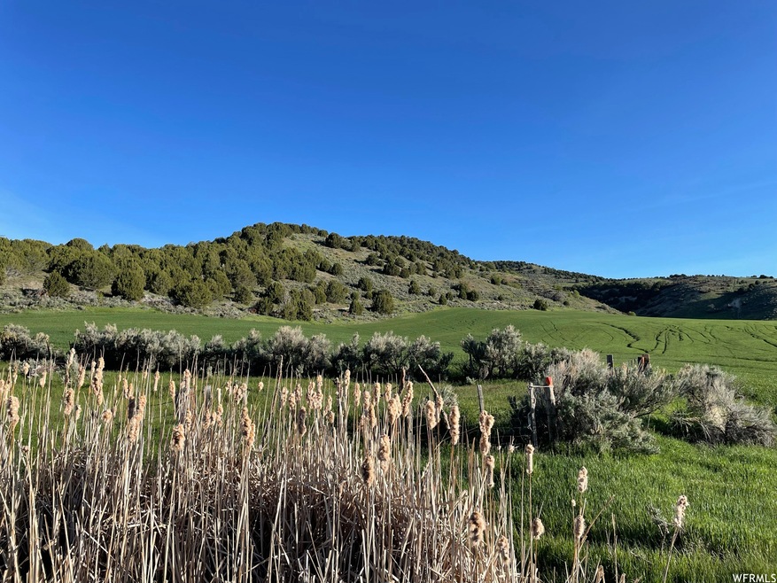 11200 Steel Canyon Rd, Clarkston, UT 84305 MLS 1965166