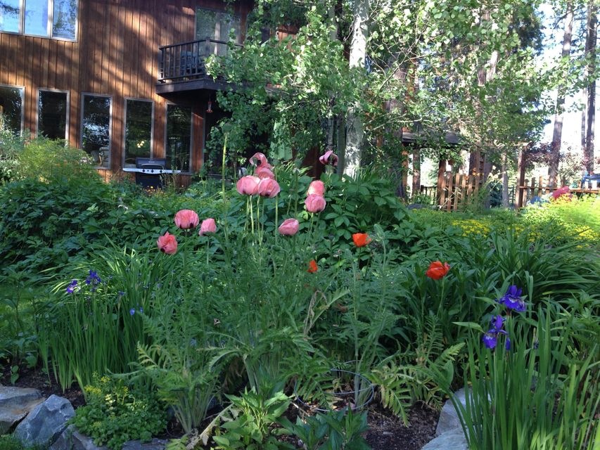 196 Slow Down Ln, Bigfork, MT 59911 - photo 1