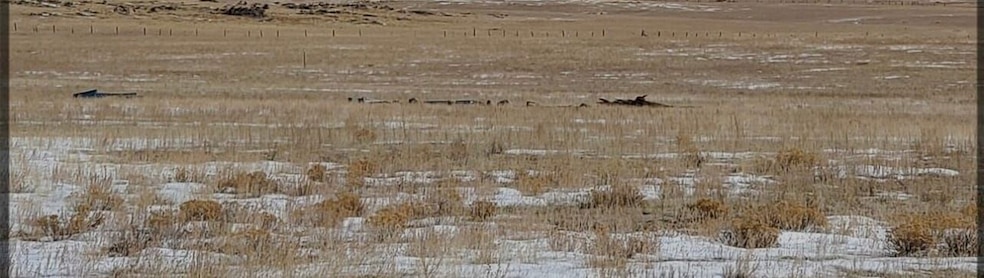 246 Montezuma Rd, Lake George, CO 80827 - photo 1