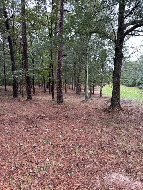 tree line