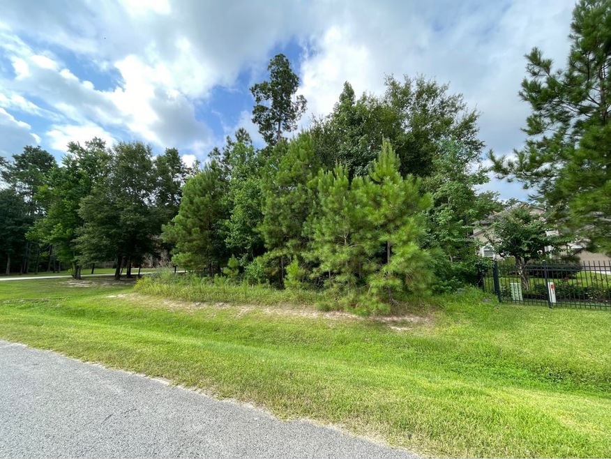 27711 Ossineke Dr, Spring, TX 77386 - photo 1