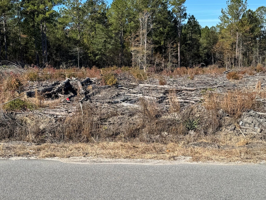 940 Fauling Rd, Saint Stephen, SC 29479 - photo 1