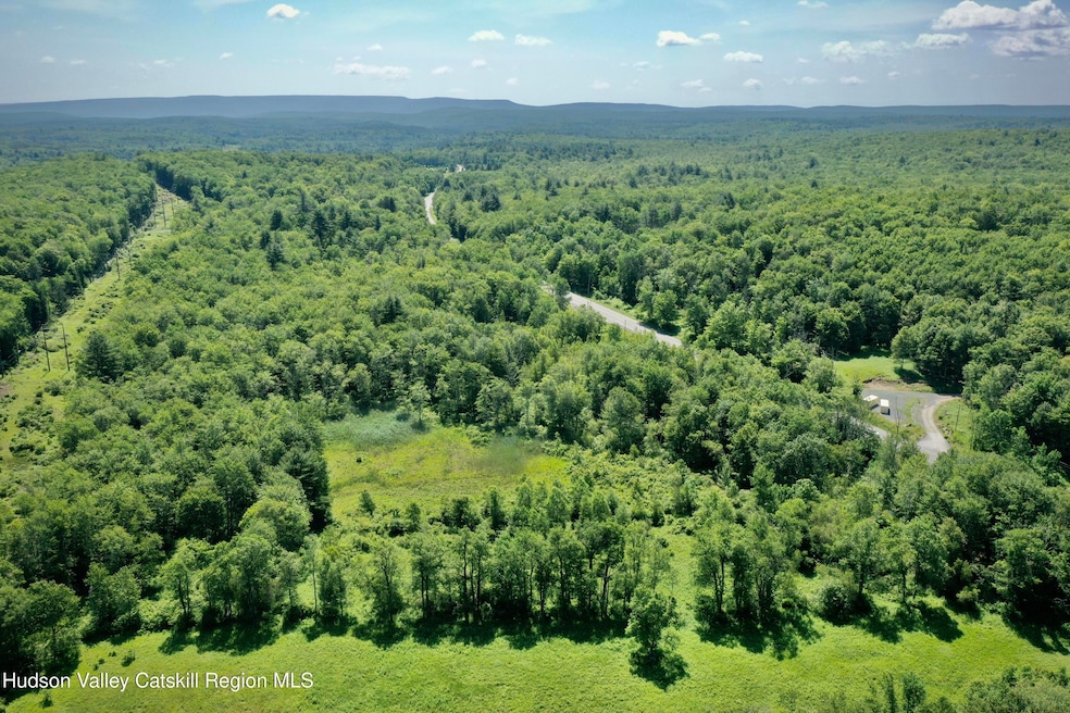DJI_0141
