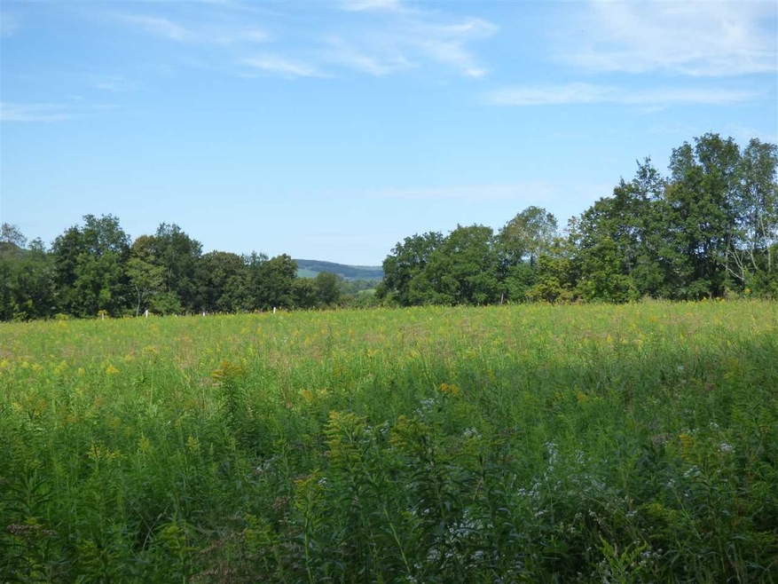 103 Nicolle's Way, Shaftsbury, VT 05262 - photo 1