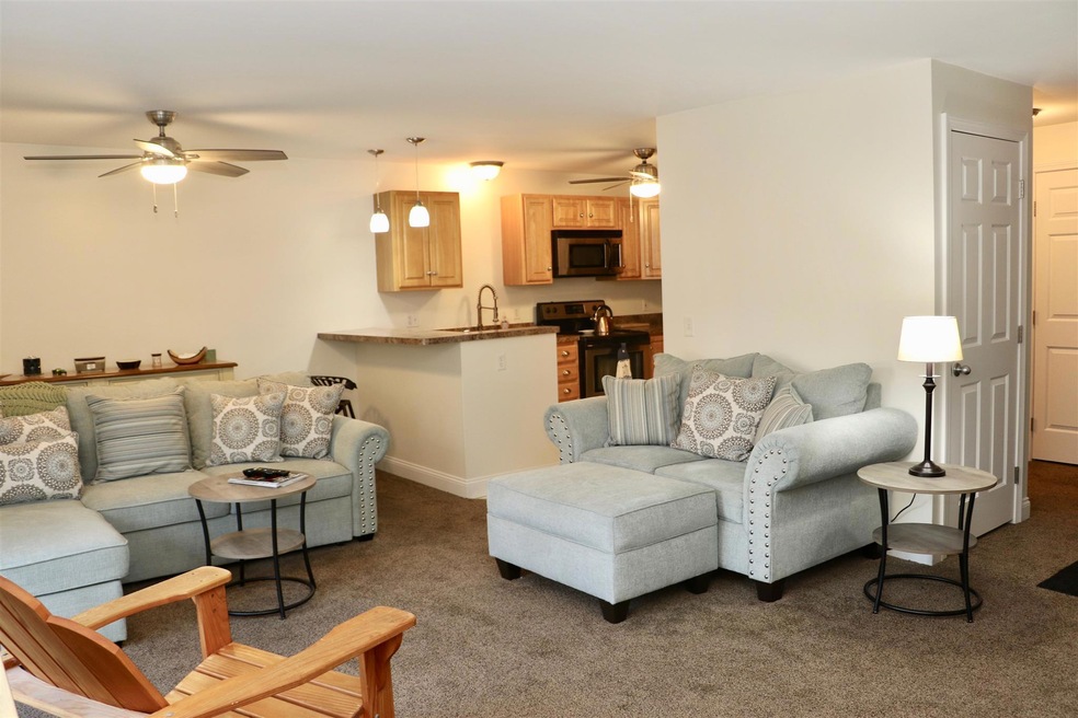 4 Deer St unit 5, Tilton, NH 03276 - photo 1