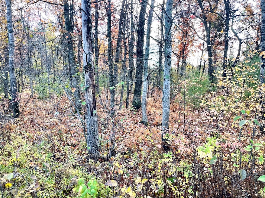 10 Acres W Fletcher Rd, Roscommon, MI 48653 - photo 1