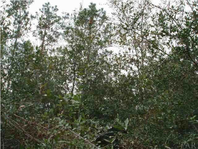 800 Tara Rd, Cantonment, FL 32533 - photo 1