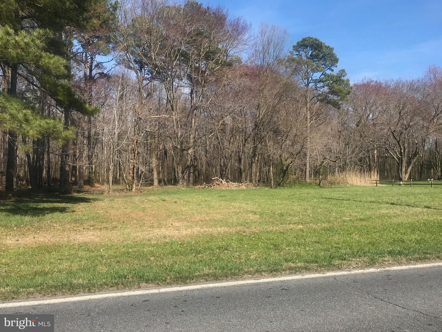 6207 Tolchester Rd, Rock Hall, MD 21661 - photo 1