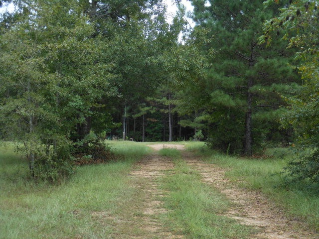 2196 Magnolia Pisgah Rd, Summit, MS 39666 - photo 1
