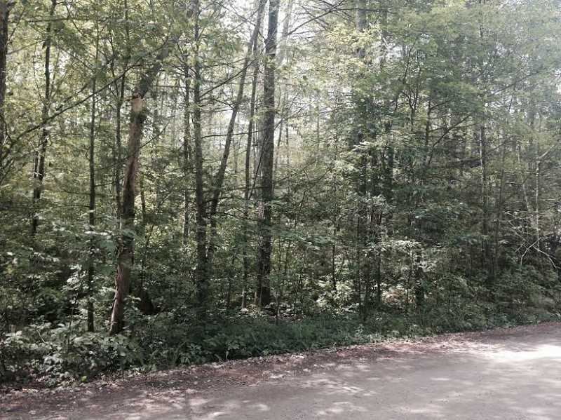 0 Indian Trail unit 1132983, Glocester, RI 02859 - photo 1